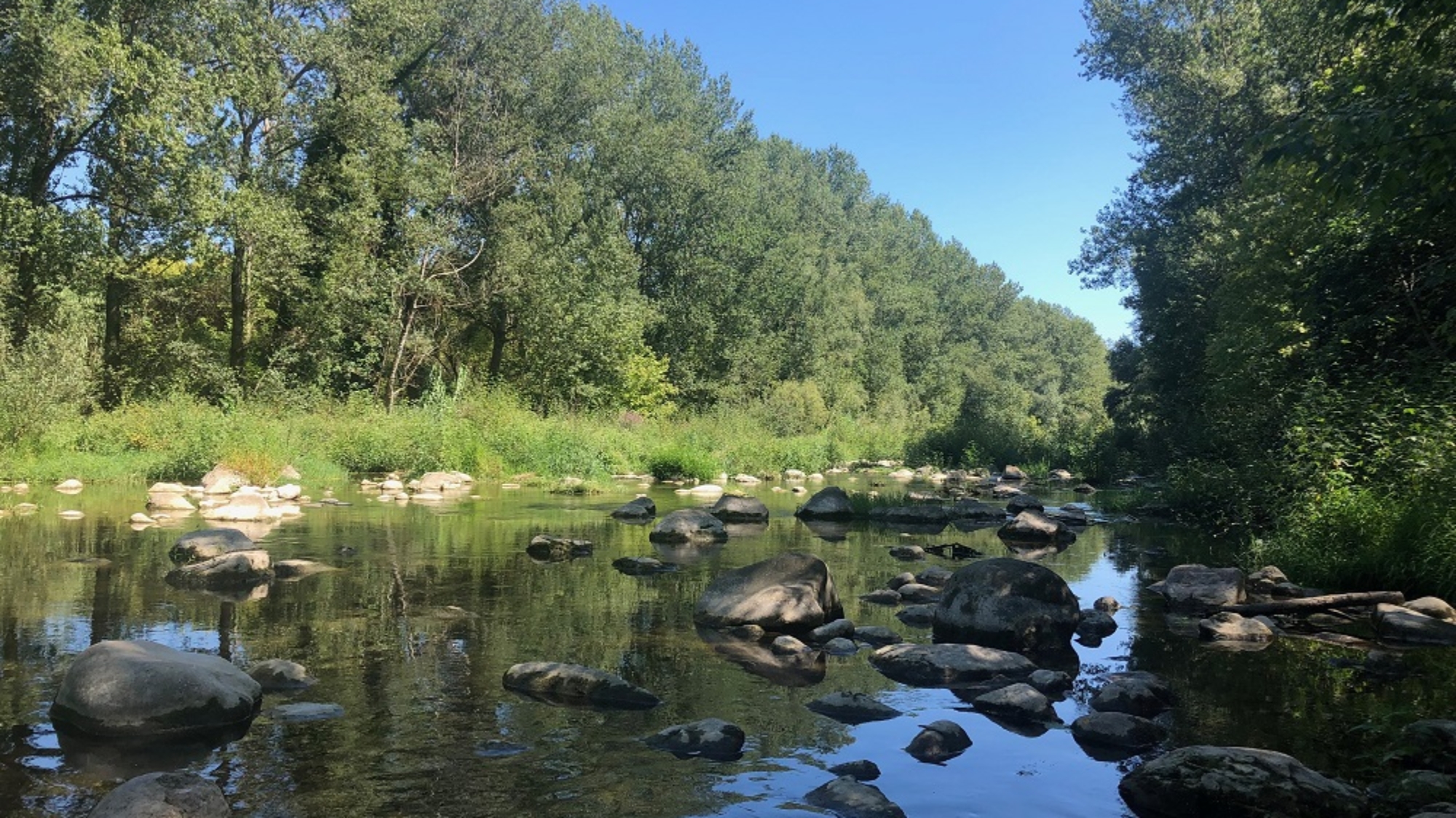 FOTO RIU REDIMENSIONADA